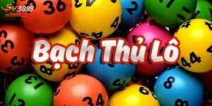 Cách Bắt Lô Bạch Thủ Miền Nam Siêu Chuẩn Cho Người Mới