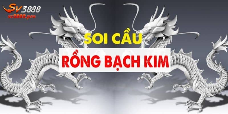 Có nên soi cầu tại trang web rongbachkim 777 hay không