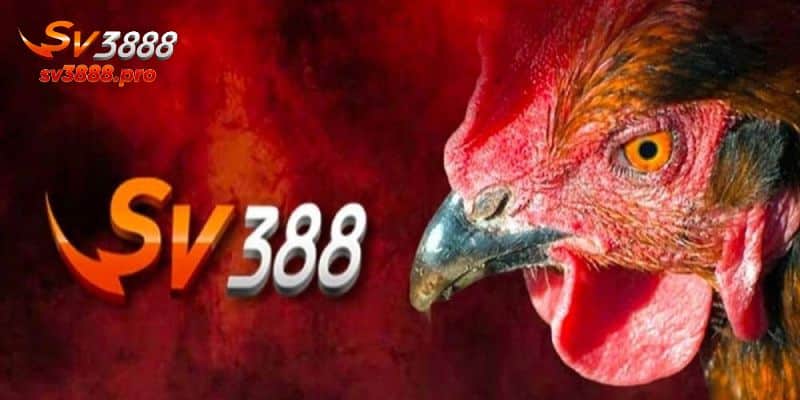 Những lưu ý đăng ký SV388 mà bạn cần phải quan tâm