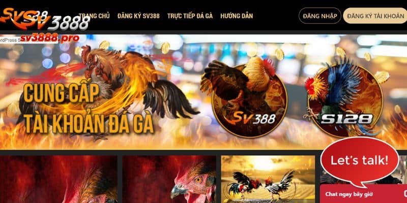 Thành viên xác nhận thông tin qua email hoặc số điện thoại