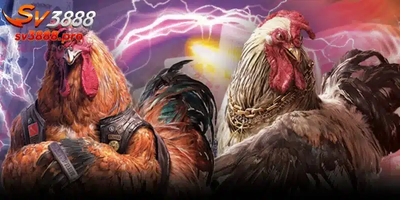 Tham gia đá gà SV388 vô cùng đơn giản và nhanh chóng