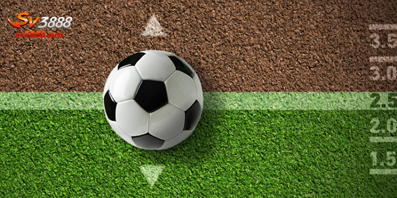 Áp dụng chiến thuật để tăng tỷ lệ thắng cược Tài Xỉu 3/4