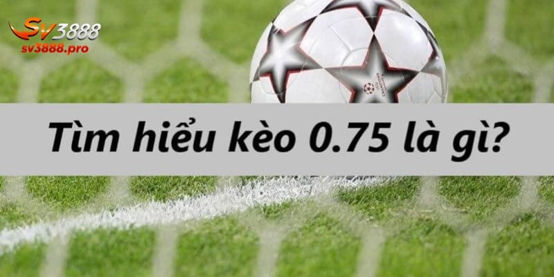 Hiểu rõ về kèo Tài Xỉu 3/4 trong cá cược bóng đá