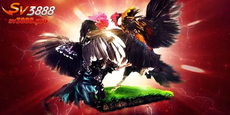 Tại Đá gà SV388, có đa dạng thể loại game hấp dẫn