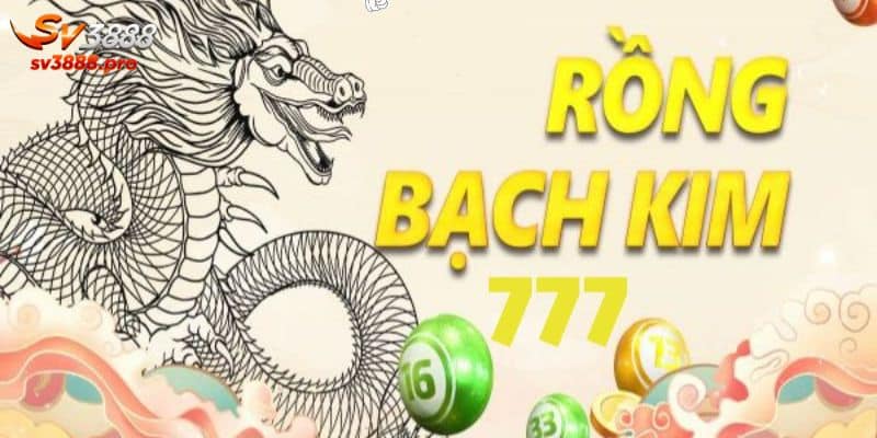 Tìm hiểu cơ bản về loại hình rongbachkim 777 là gì