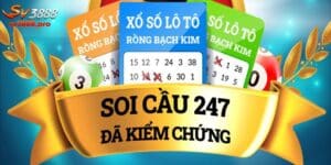 Top Các Cách Soi Cầu Chuẩn 247 Cực Kỳ Chính Xác 2024 