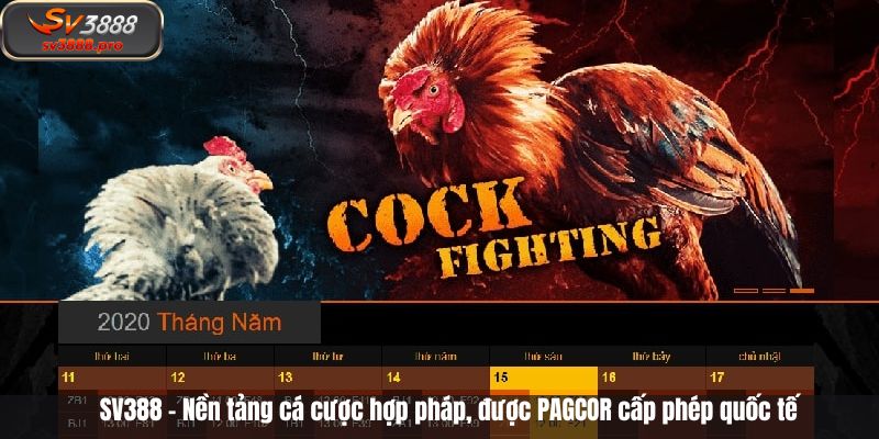 SV388 – Nền tảng cá cược hợp pháp, được PAGCOR cấp phép quốc tế SV388 – Nền tảng cá cược hợp pháp, được PAGCOR cấp phép quốc tế