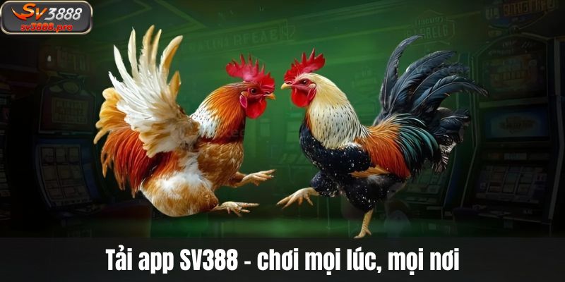 Tải app SV388 – chơi mọi lúc, mọi nơi Tải app SV388 – chơi mọi lúc, mọi nơi